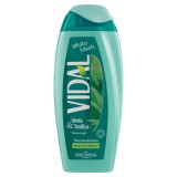 VIDAL  Duschschaum Muschio Bianco 250ml